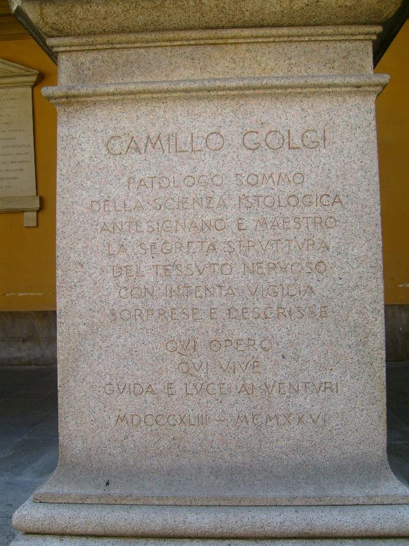 Camillo Golgi's statue 2, Pavia, Italy.JPG